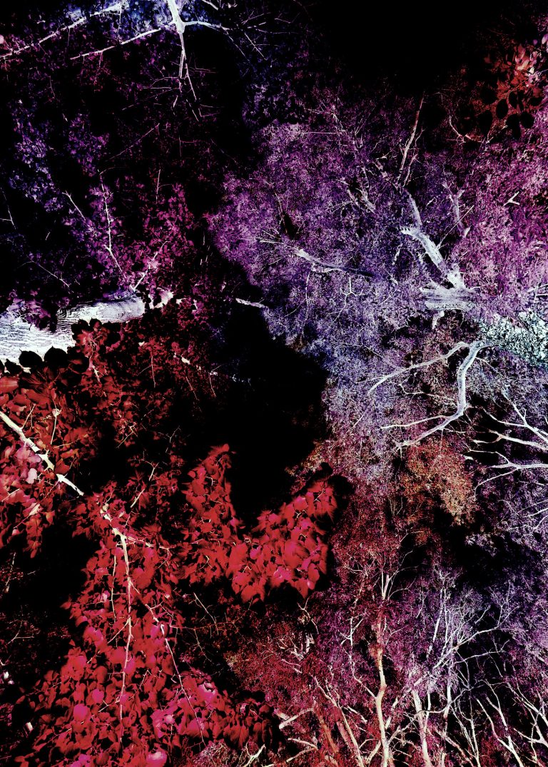 Spectral Spring
